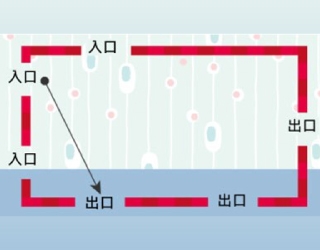 生活中无所不在的思考力乐趣与应用